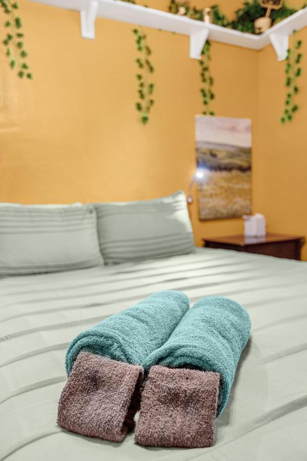 Orlando Oasis! Free Laundry & Parking Near Disney! Exteriér fotografie